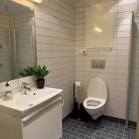 Modern Near Oslo Apartment Lii